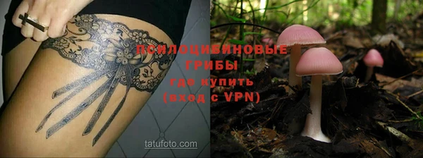 а пвп мука Тайга