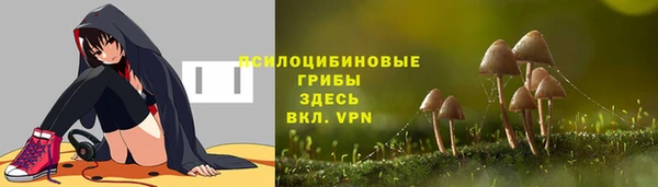 метадон Сясьстрой